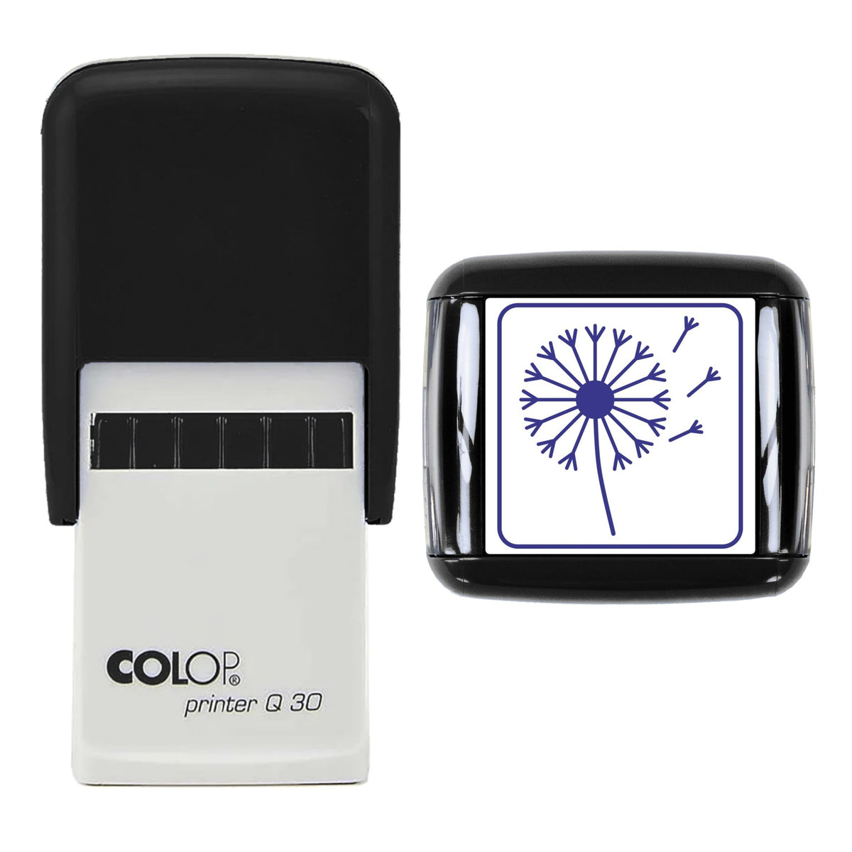 Dandelion Clock Stamp, 30 x 30mm, COLOP Q30