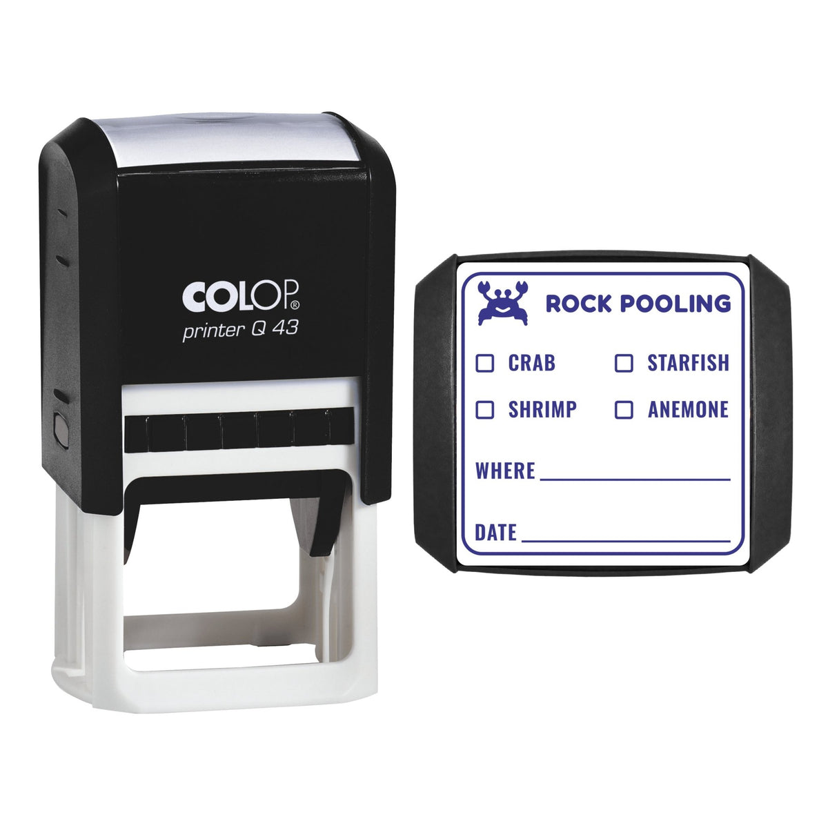 Rock Pooling Spotter Stamp, 43 x 43mm, COLOP Q43