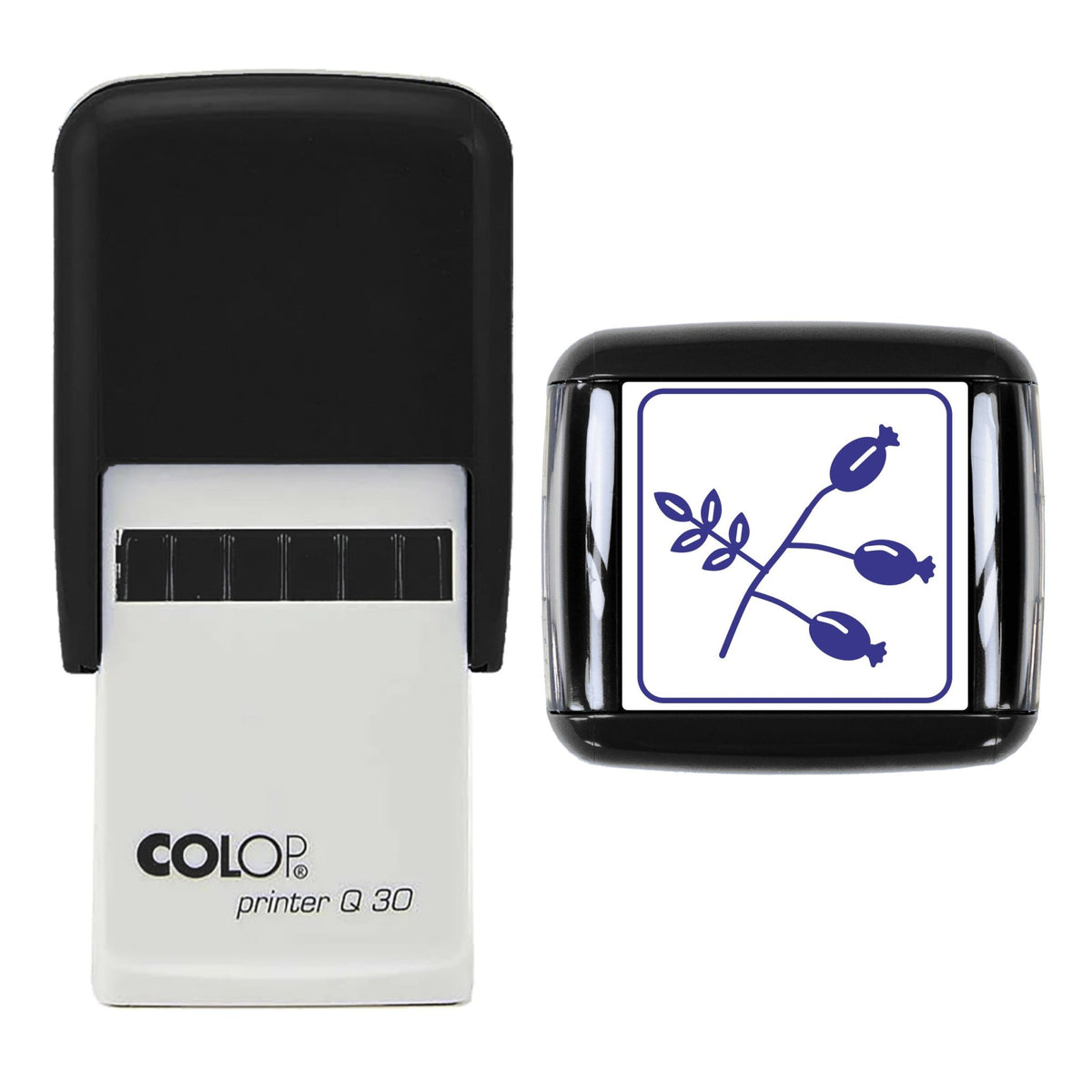 Rosehip Sprig Stamp, 30 x 30mm, COLOP Q30