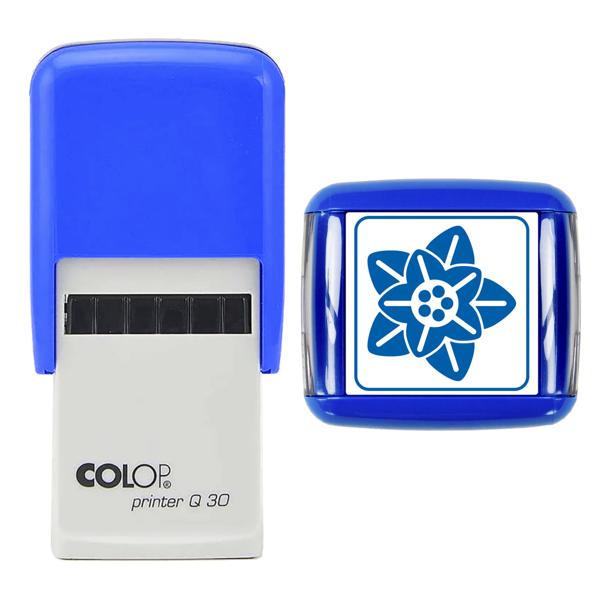 Stamp showing the Poinsettia Bloom Christmas design, 30 x 30mm COLOP Q30 self-inking stamp, blue ink