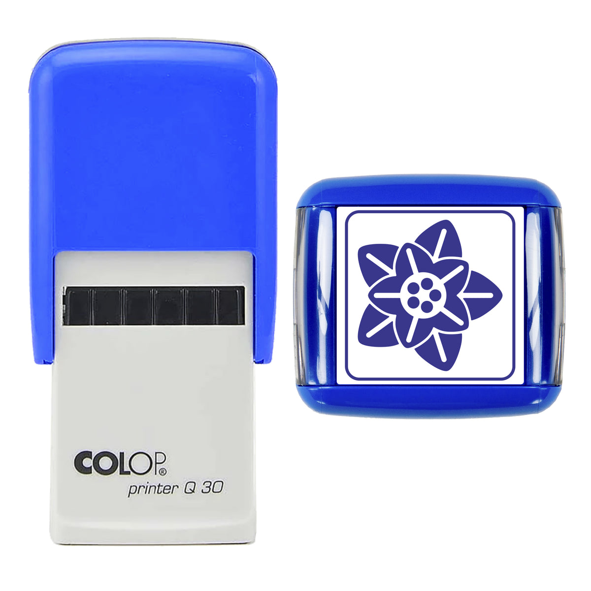 Stamp showing the Poinsettia Bloom Christmas design, 30 x 30mm COLOP Q30 self-inking stamp, violet ink