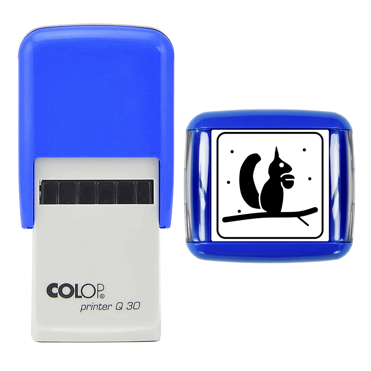 Stamp showing the Red Squirrel with Hazelnut Christmas design, 30 x 30mm COLOP Q30 self-inking stamp, black ink