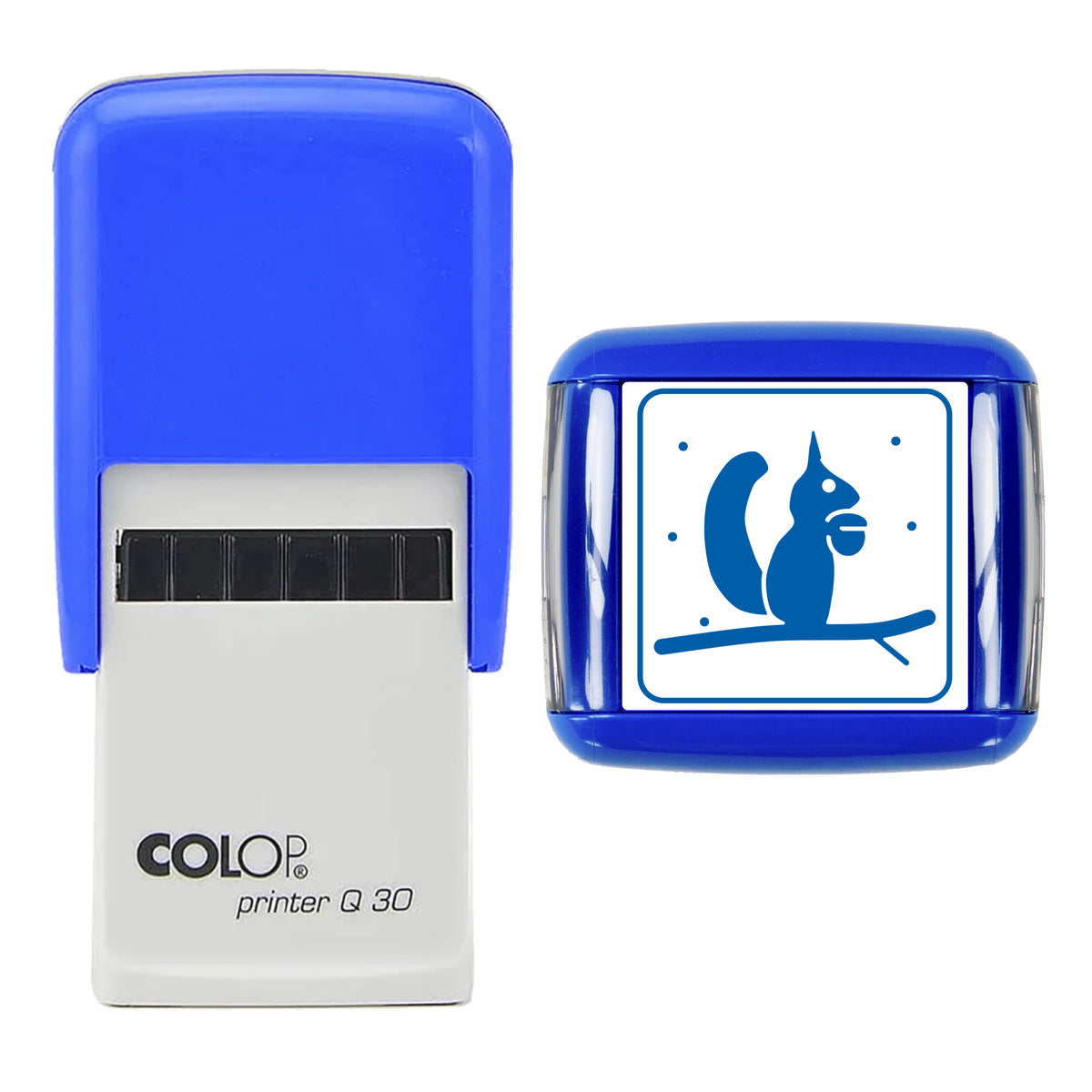 Stamp showing the Red Squirrel with Hazelnut Christmas design, 30 x 30mm COLOP Q30 self-inking stamp, blue ink
