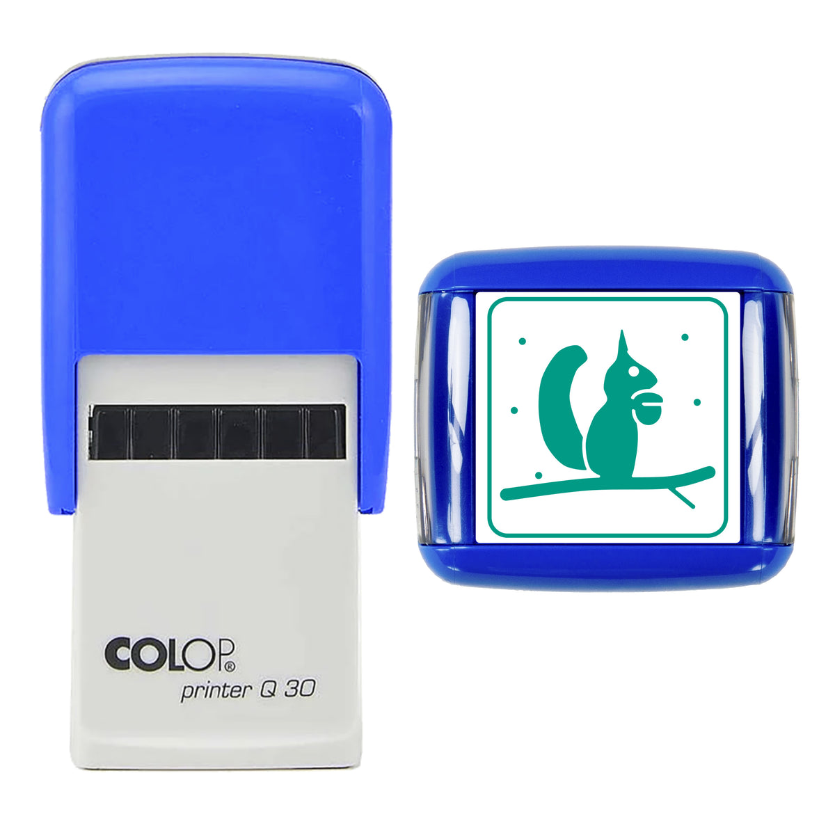 Stamp showing the Red Squirrel with Hazelnut Christmas design, 30 x 30mm COLOP Q30 self-inking stamp, green ink