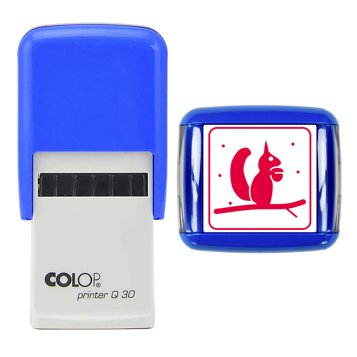 Stamp showing the Red Squirrel with Hazelnut Christmas design, 30 x 30mm COLOP Q30 self-inking stamp, red ink