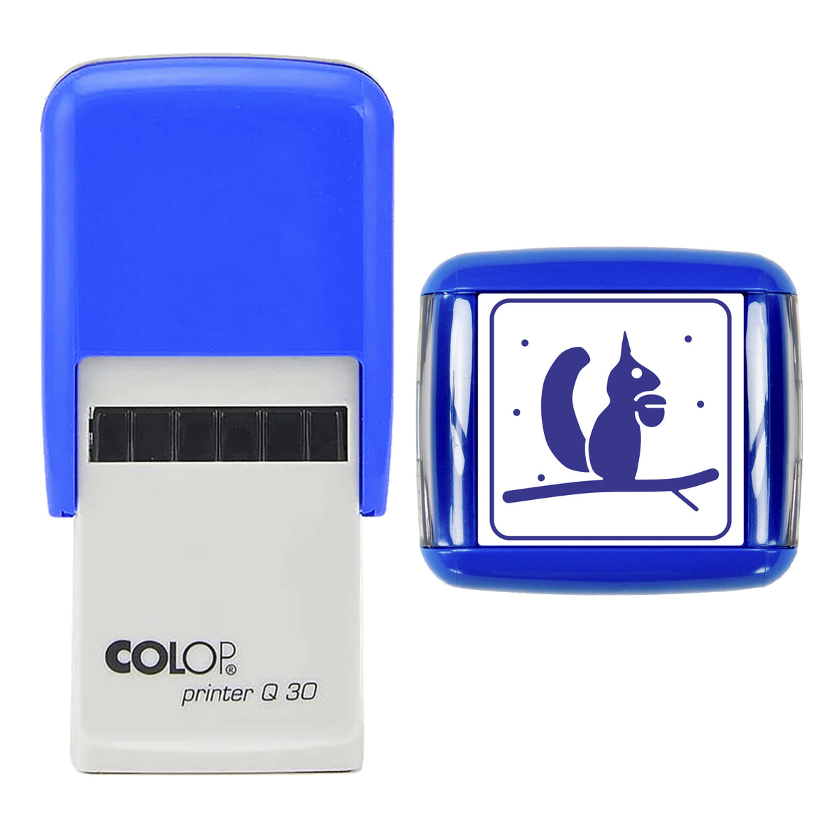 Stamp showing the Red Squirrel with Hazelnut Christmas design, 30 x 30mm COLOP Q30 self-inking stamp, violet ink