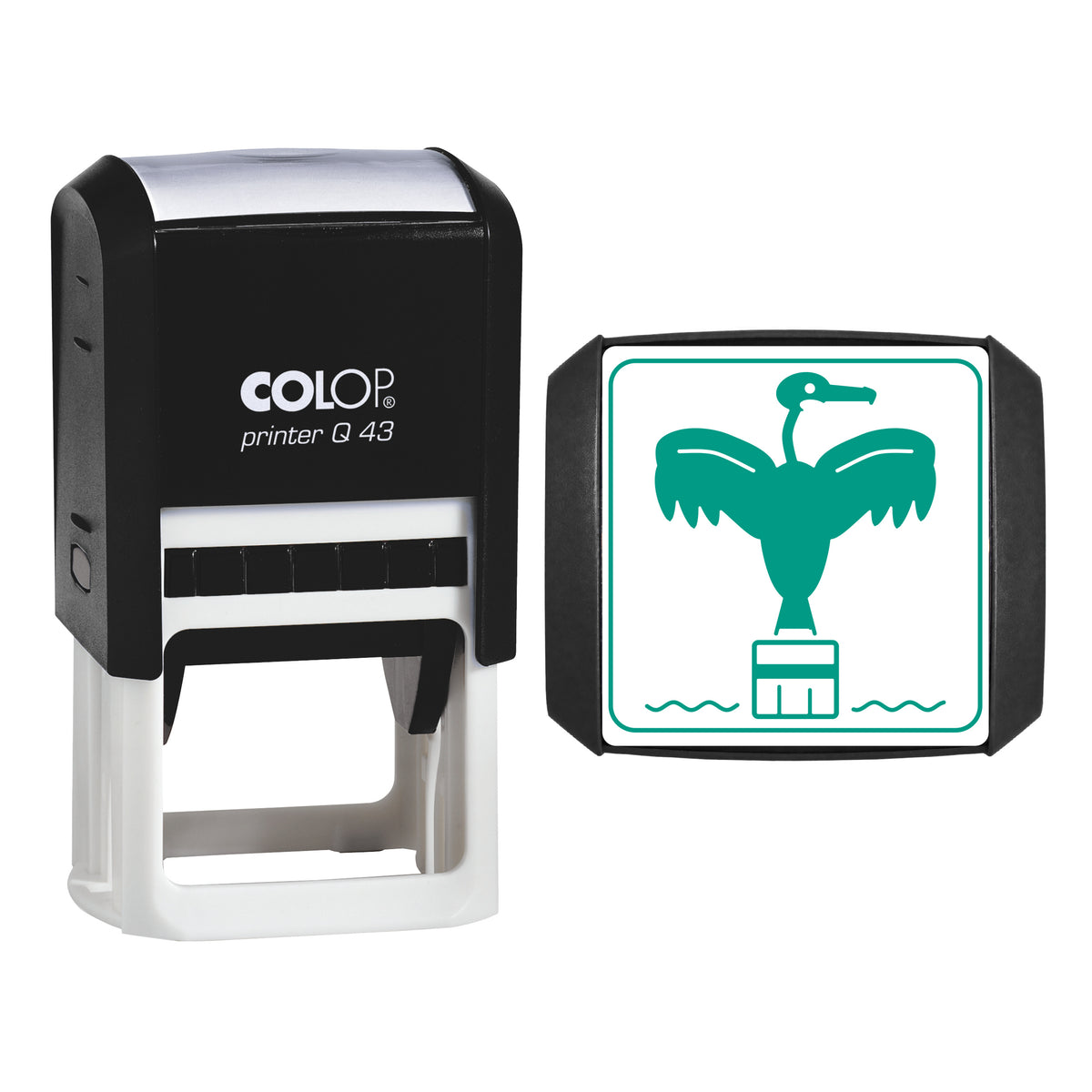 Cormorant Drying Wings Stamp, COLOP Q43, 43 x 43mm, green ink