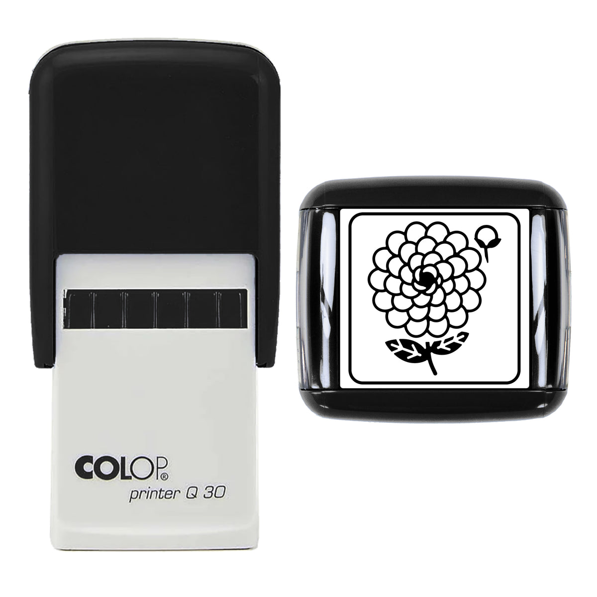 Pompom Dahlia Stamp, COLOP Q30, 30 x 30mm, black ink