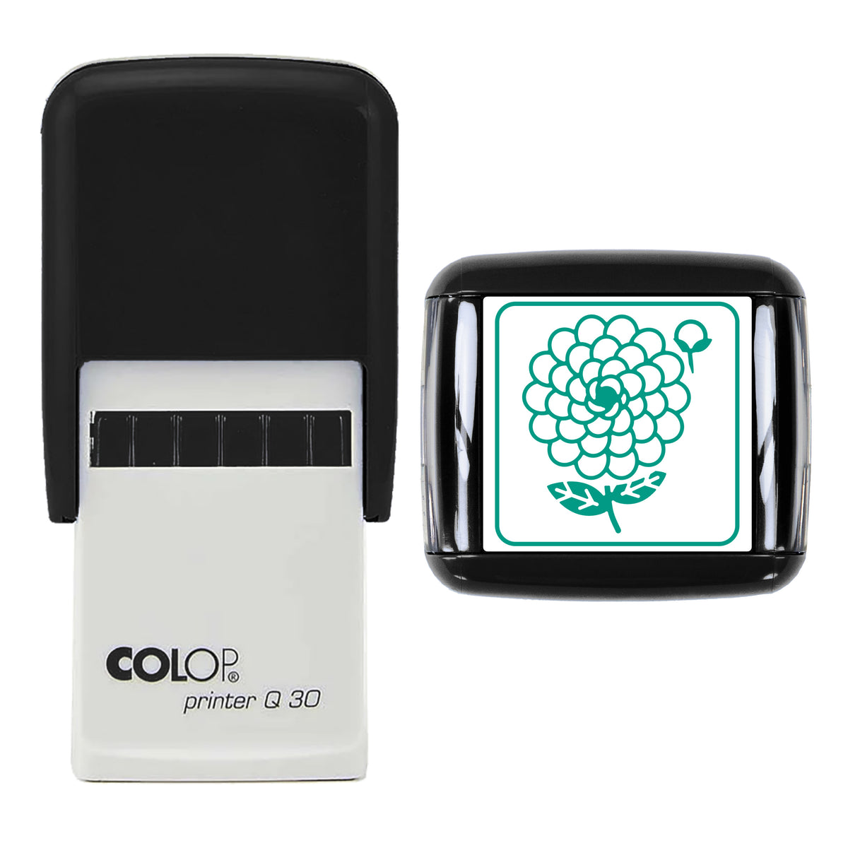 Pompom Dahlia Stamp, COLOP Q30, 30 x 30mm, green ink