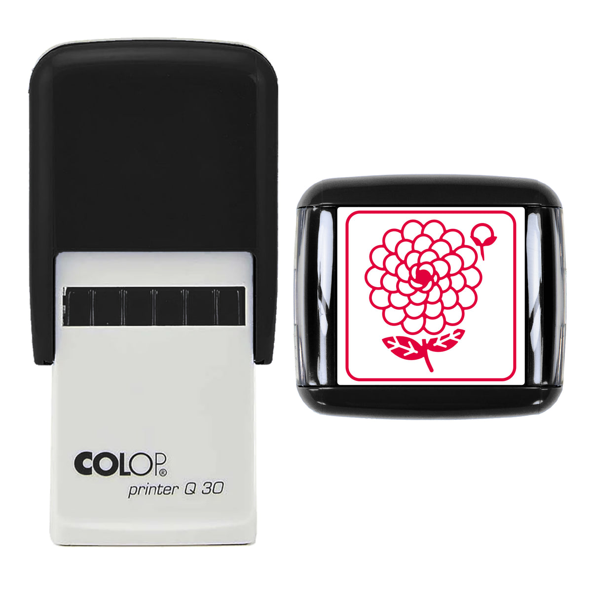 Pompom Dahlia Stamp, COLOP Q30, 30 x 30mm, red ink