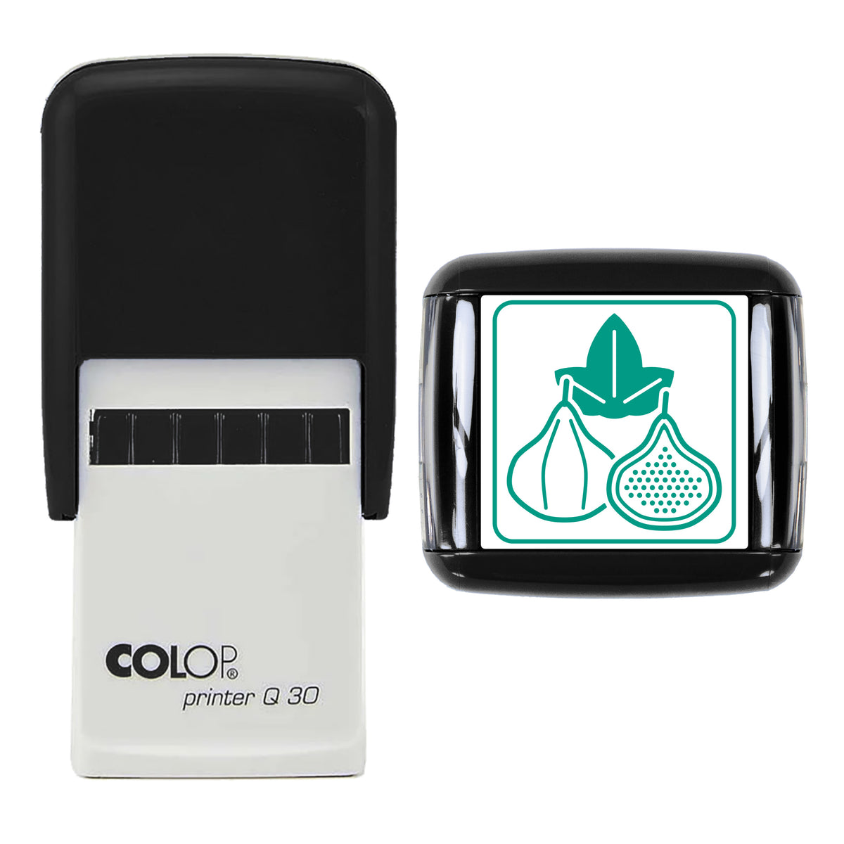 Figs Stamp, COLOP Q30, 30 x 30mm, green ink
