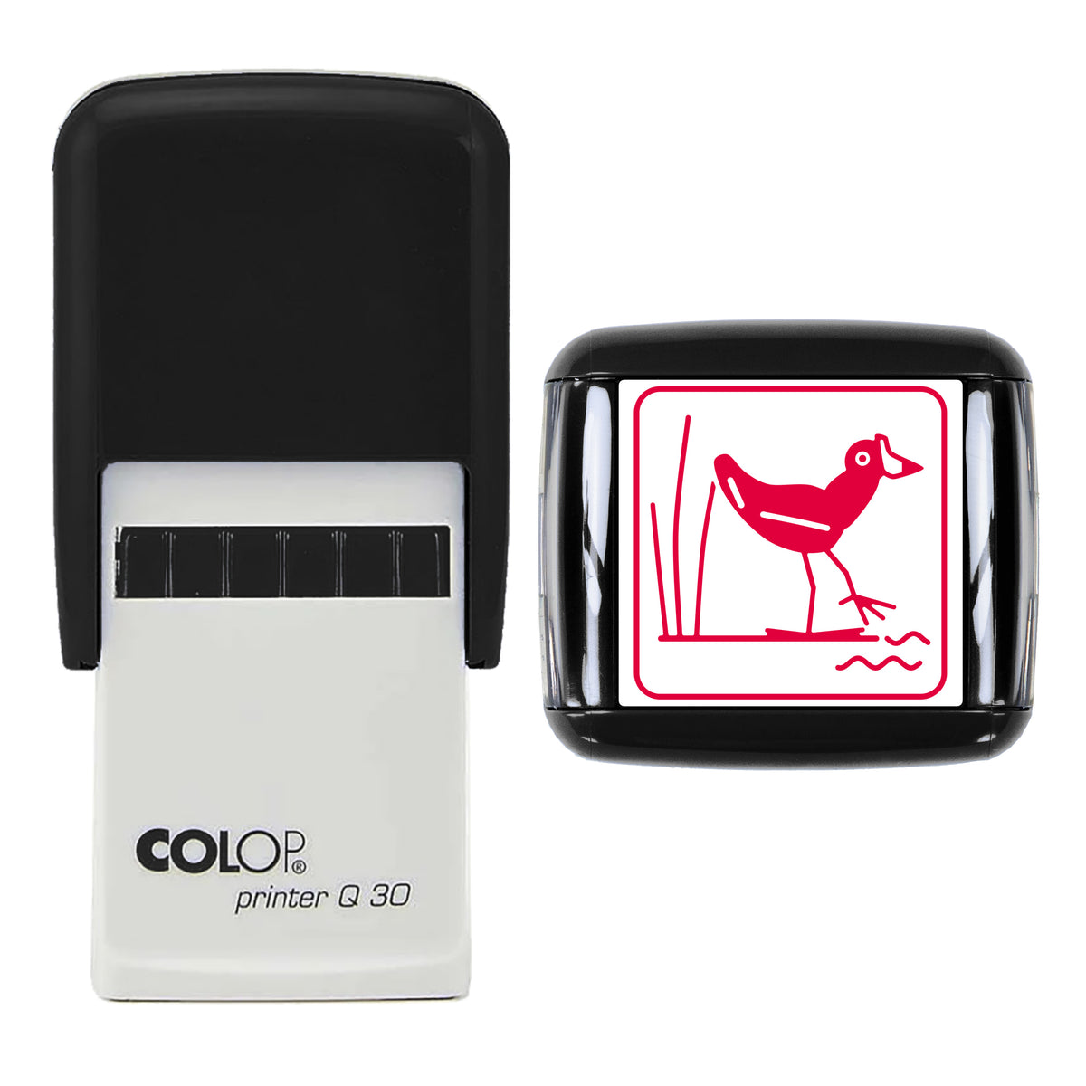 Moorhen Stamp, COLOP Q30, 30 x 30mm, red ink