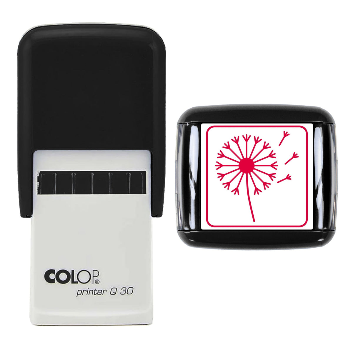 Dandelion Clock Stamp, 30 x 30mm, COLOP Q30