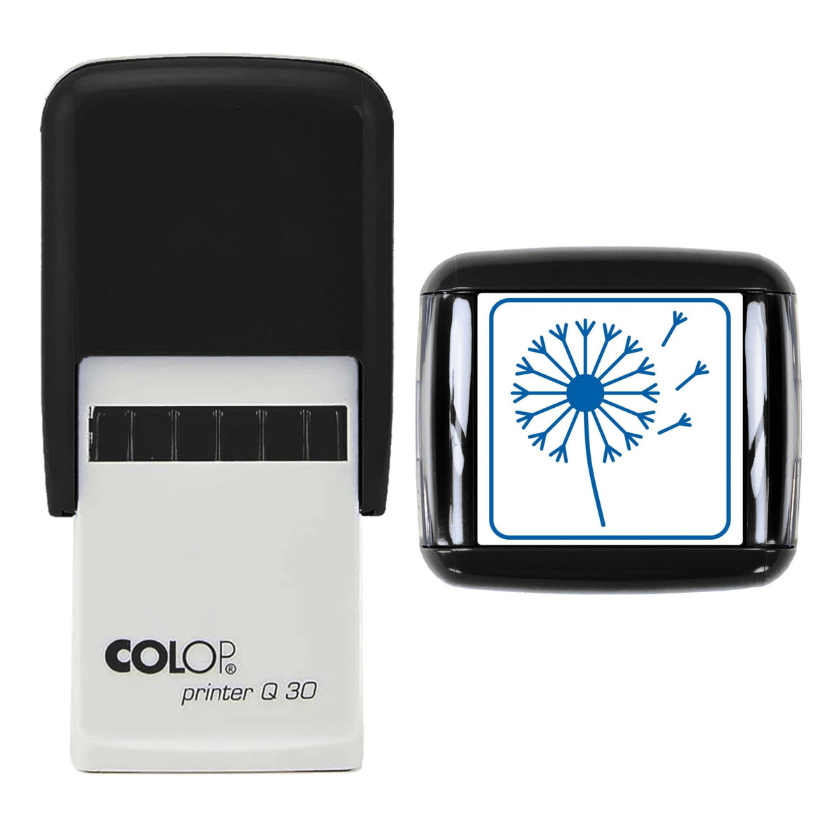 Dandelion Clock Stamp, 30 x 30mm, COLOP Q30