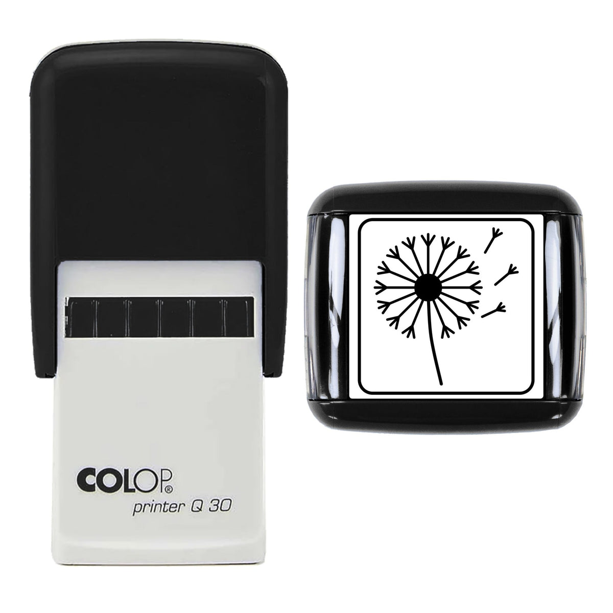 Dandelion Clock Stamp, 30 x 30mm, COLOP Q30