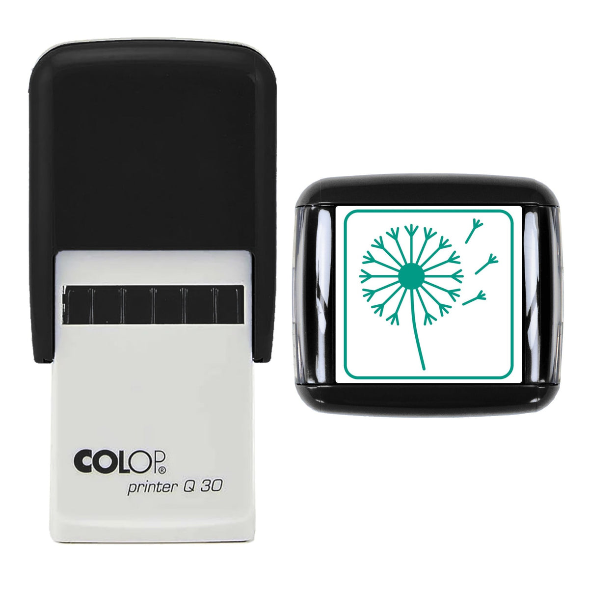 Dandelion Clock Stamp, 30 x 30mm, COLOP Q30