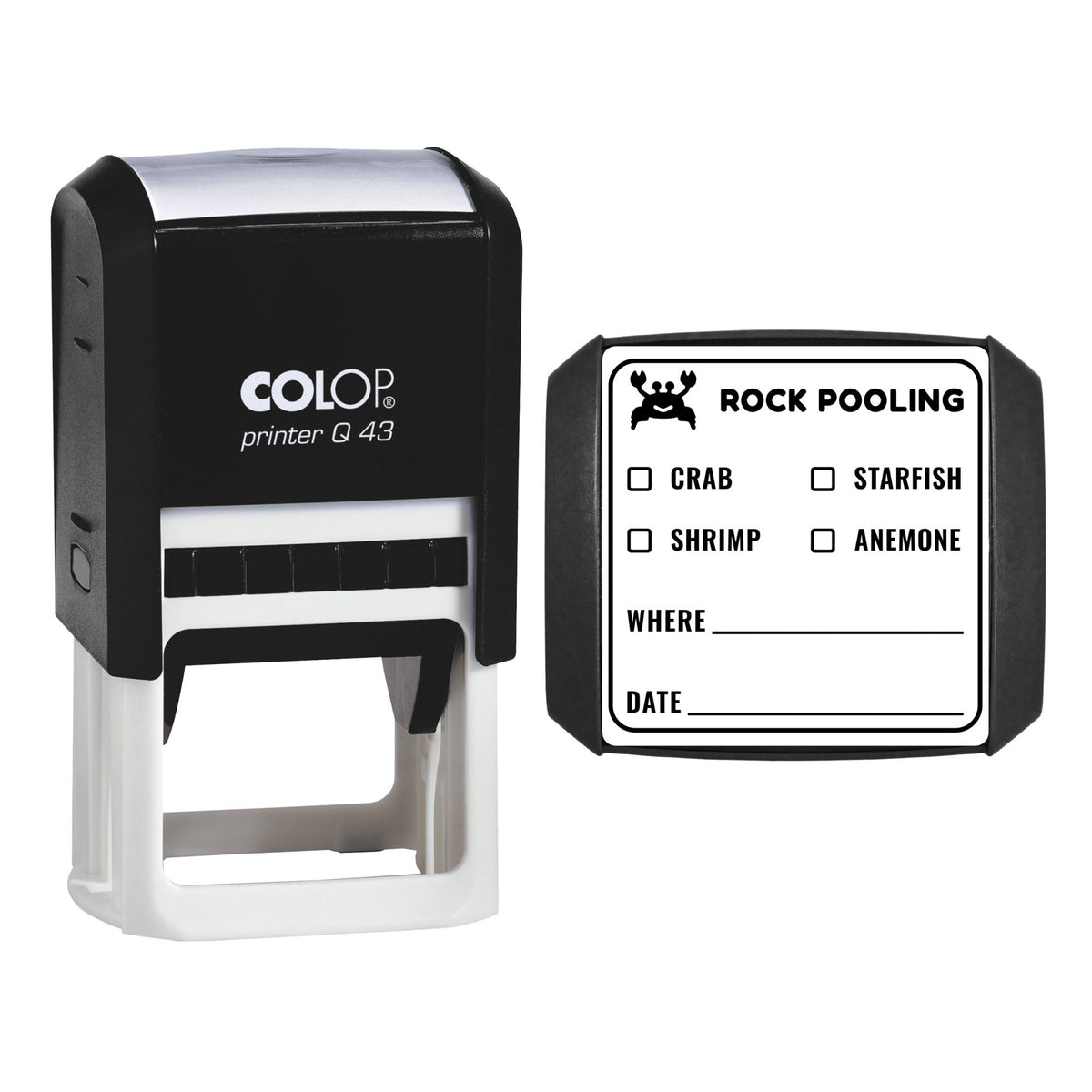 Rock Pooling Spotter Stamp, 43 x 43mm, COLOP Q43