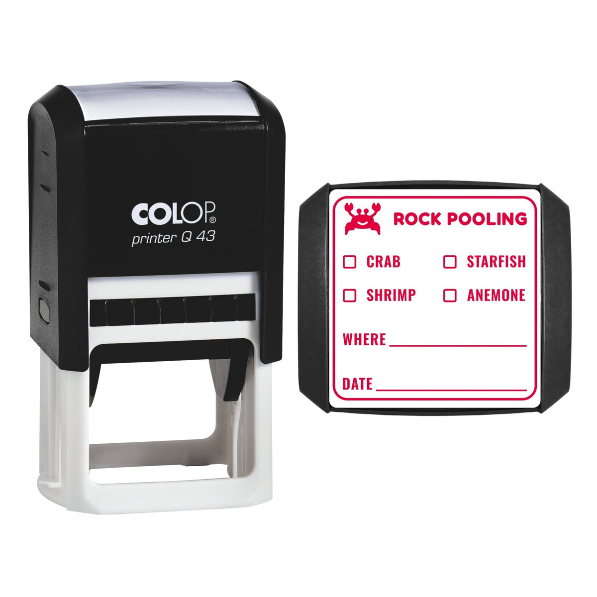 Rock Pooling Spotter Stamp, 43 x 43mm, COLOP Q43