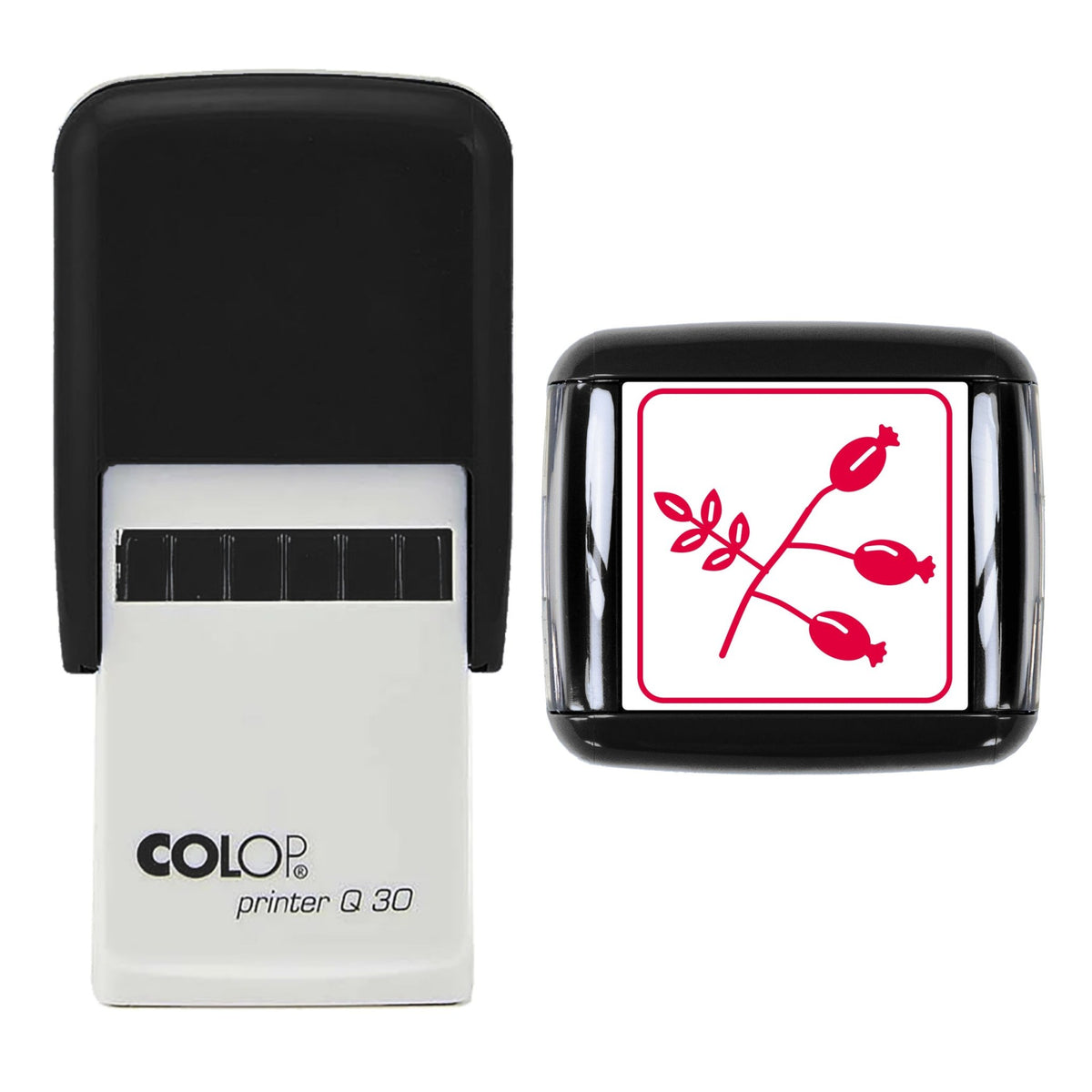 Rosehip Sprig Stamp, 30 x 30mm, COLOP Q30
