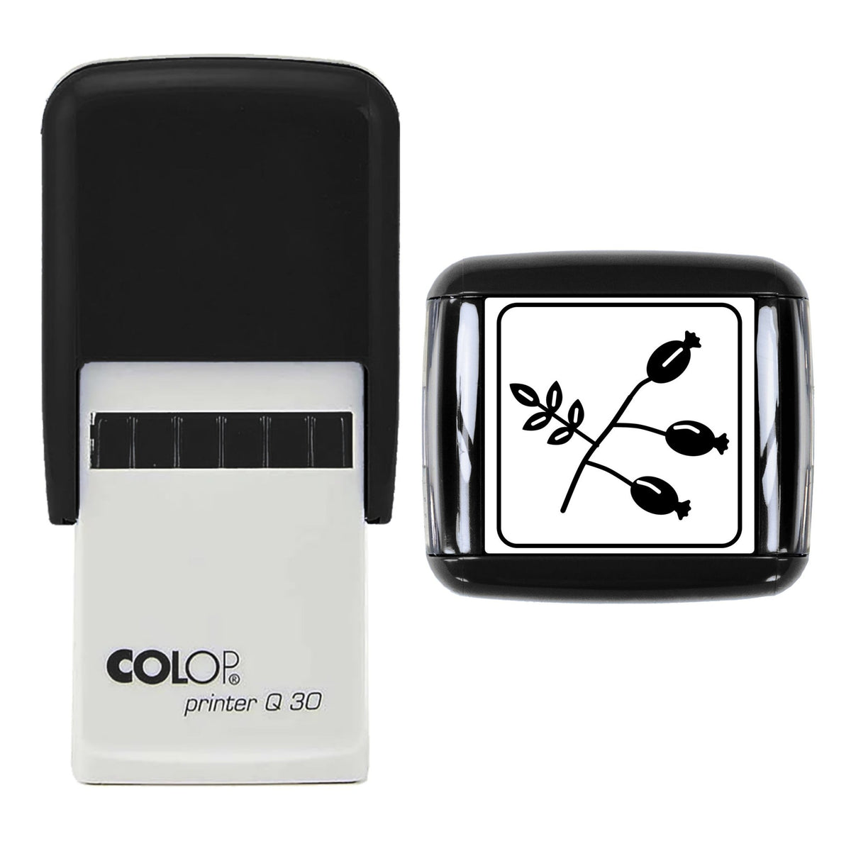 Rosehip Sprig Stamp, 30 x 30mm, COLOP Q30