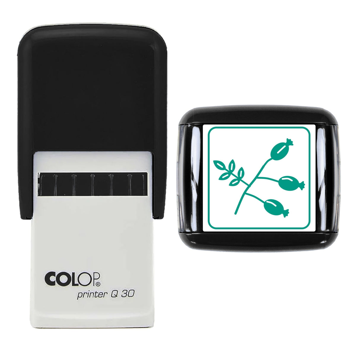 Rosehip Sprig Stamp, 30 x 30mm, COLOP Q30