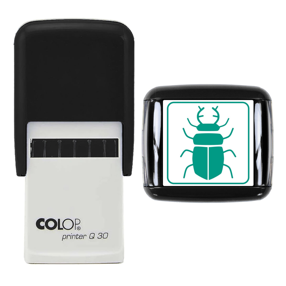 Stag Beetle Stamp, 30 x 30mm, COLOP Q30