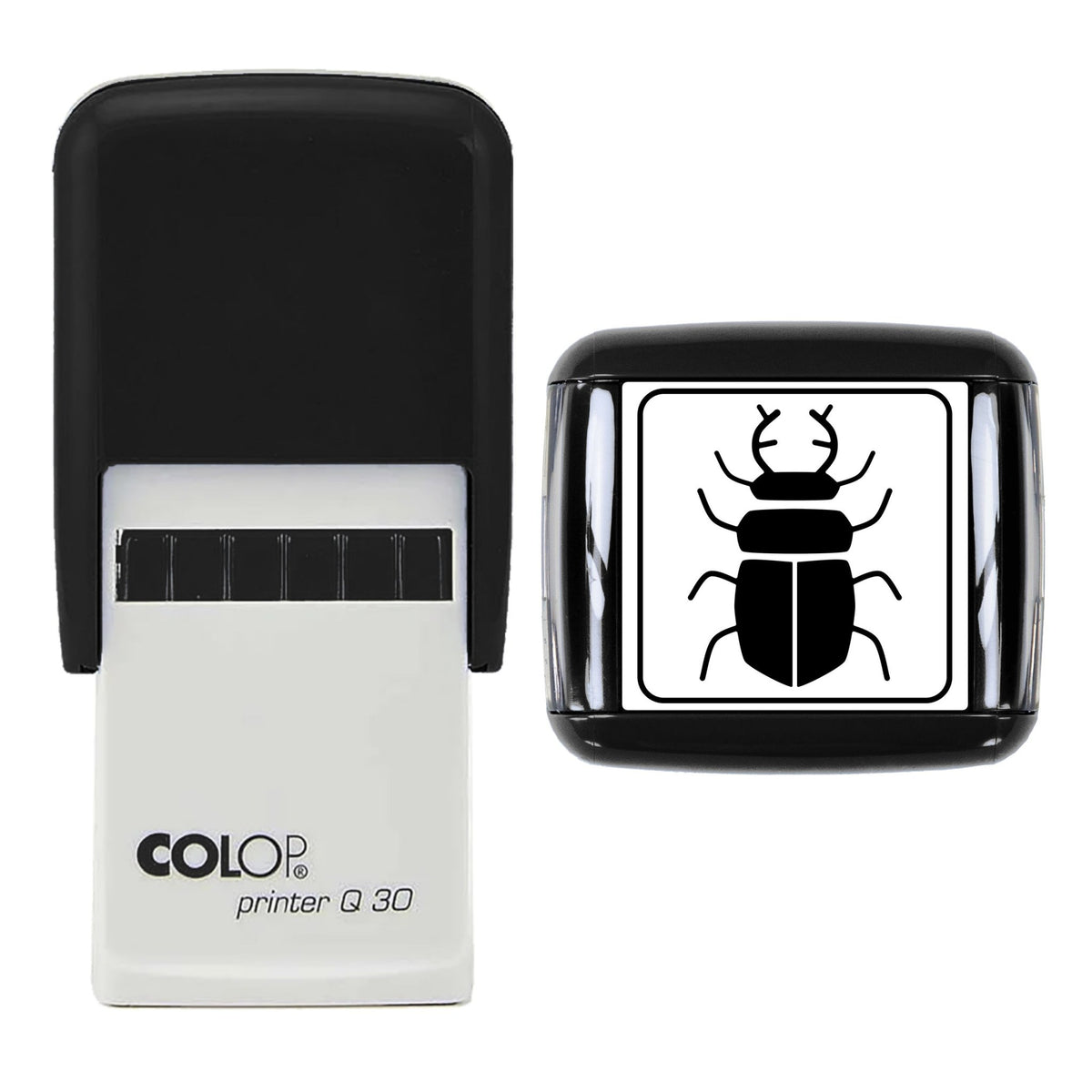 Stag Beetle Stamp, 30 x 30mm, COLOP Q30